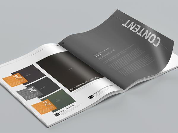 Brochures / Magazines